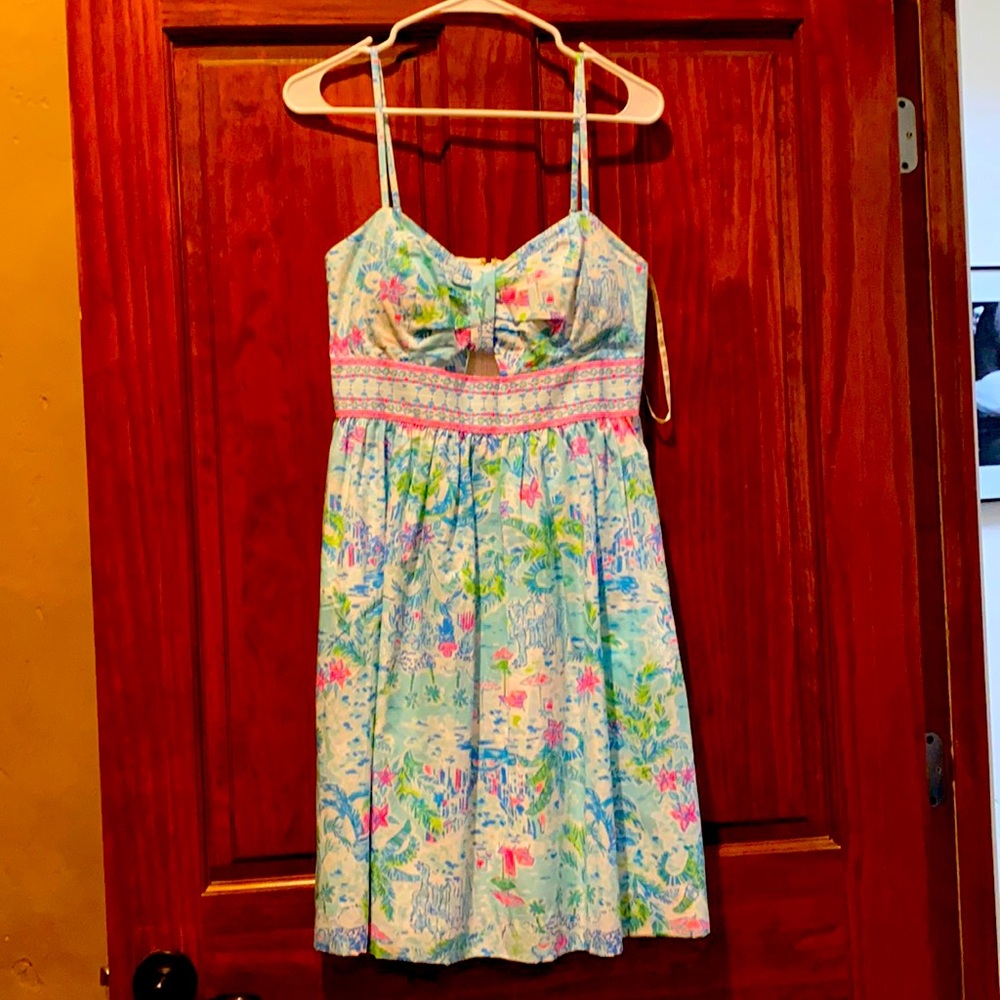 Lilly Sundress